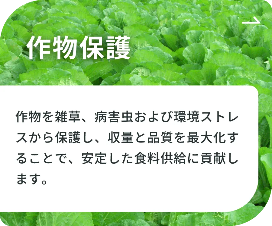 作物保護 - 作物を雑草、病害虫および環境ストレスから保護し、収量と品質を最大化することで、安定した食料供給に貢献します。